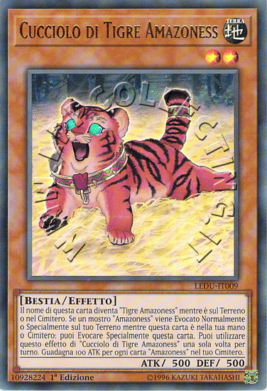 Cucciolo di Tigre Amazoness