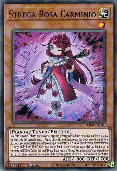 Strega Rosa Carminio 