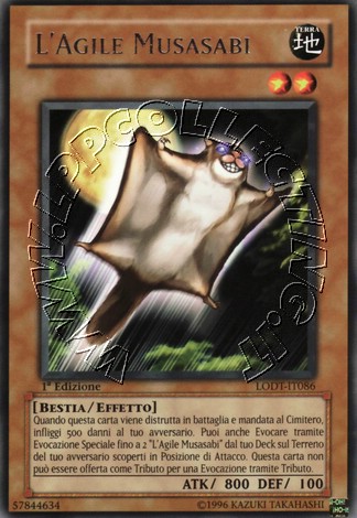 L