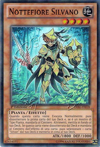 Nottefiore Silvano