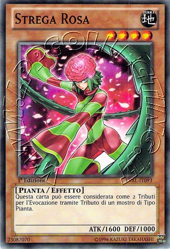 Strega Rosa