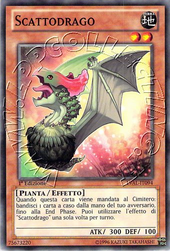 Scattodrago