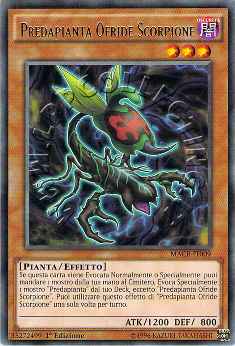 Predapianta Ofride Scorpione