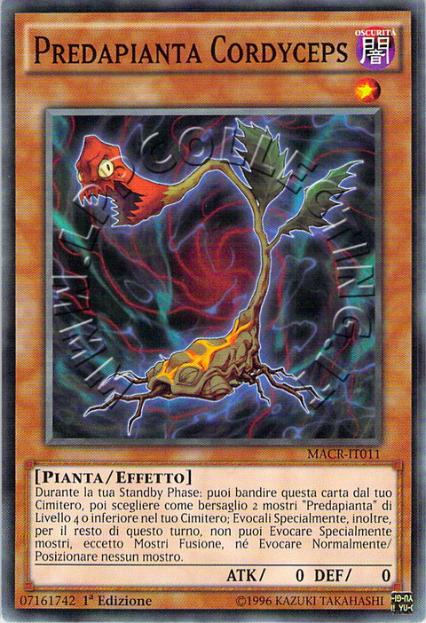 Predapianta Cordyceps