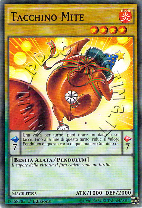 Tacchino Mite