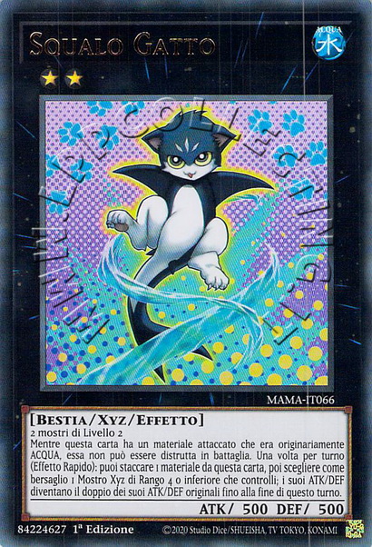 Squalo Gatto