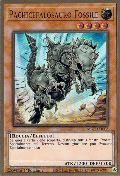 Pachicefalosauro Fossile