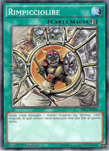 Rimpicciolire
