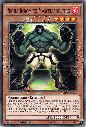 Pugile Indomito Mascelladivetro