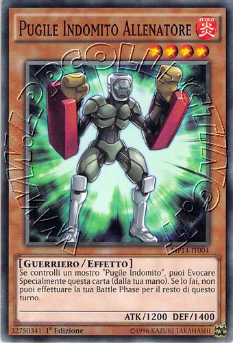 Pugile Indomito Allenatore