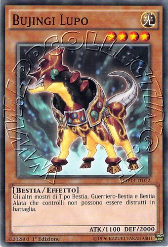 Bujingi Lupo