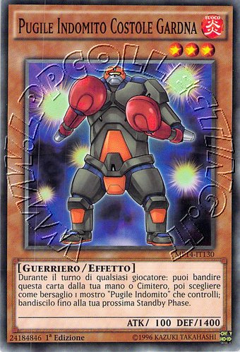 Pugile Indomito Costole Gardna