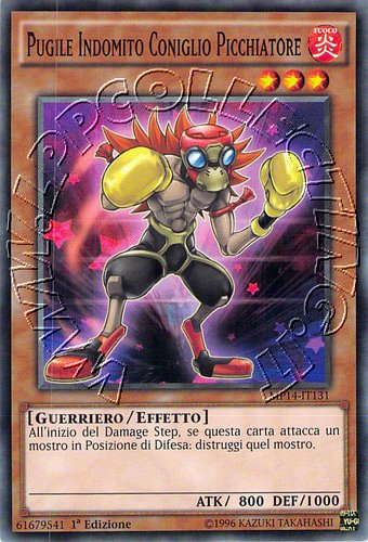 Pugile Indomito Coniglio Picchiatore