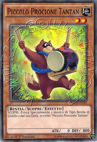 Piccolo Procione Tantan