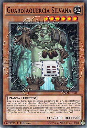 Guardiaquercia Silvana