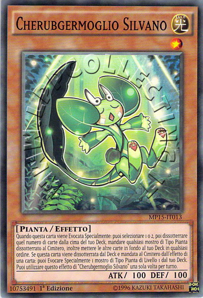 Cherubgermoglio Silvano