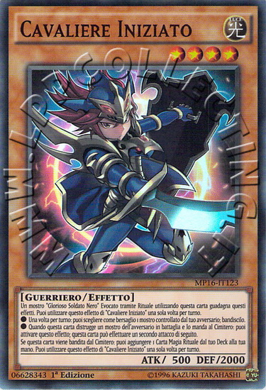 Cavaliere Iniziato