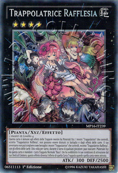 Trappolatrice Rafflesia