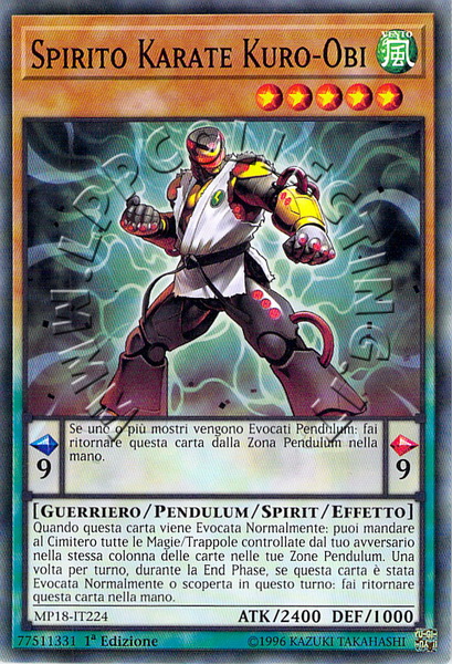 Spirito Karate Kuro-Obi