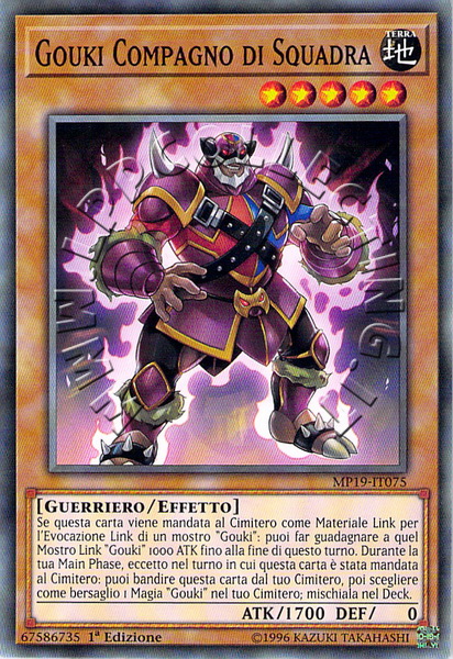 Gouki Compagno di Squadra