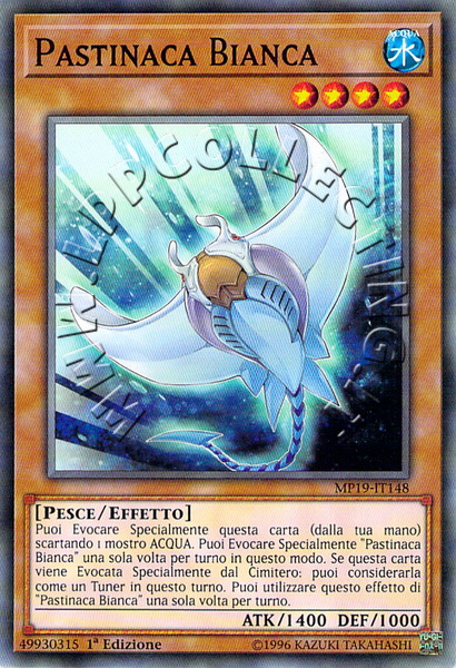 Pastinaca Bianca