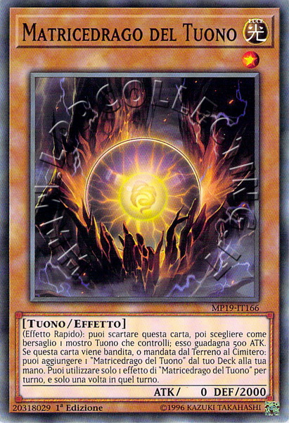 Matricedrago del Tuono