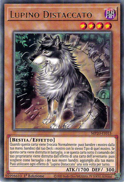 Lupino Distaccato