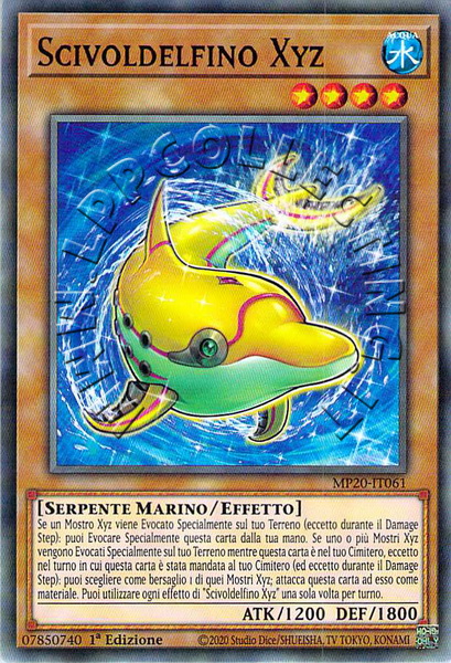 Scivoldelfino Xyz