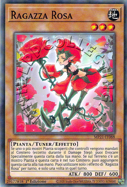 Ragazza Rosa
