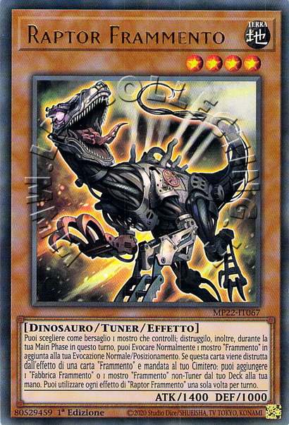 Raptor Frammento 
