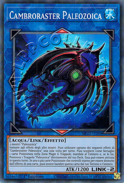 Cambroraster Paleozoica 