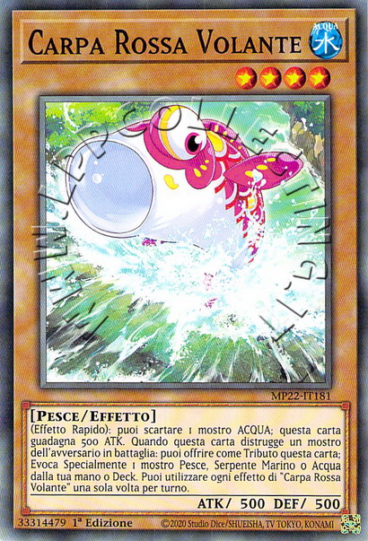 Carpa Rossa Volante 