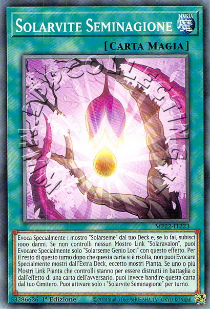 Solarvite Seminagione