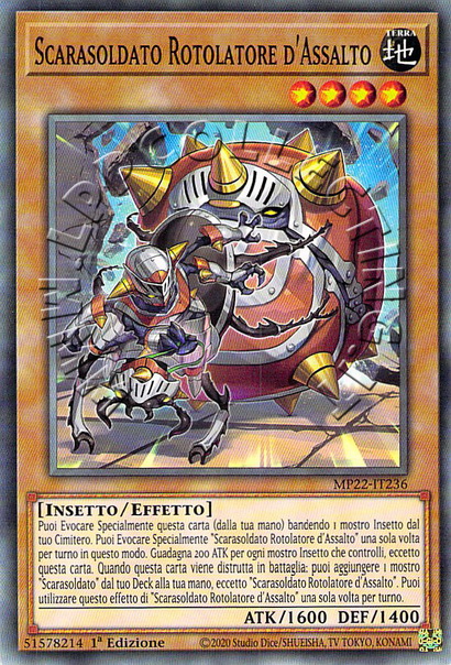 Scarasoldato Rotolatore d