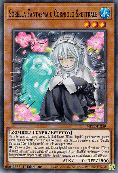 Sorella Fantasma & Corniolo Spettrale