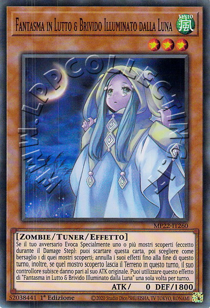 Fantasma in Lutto & Brivido Illuminato dalla Luna