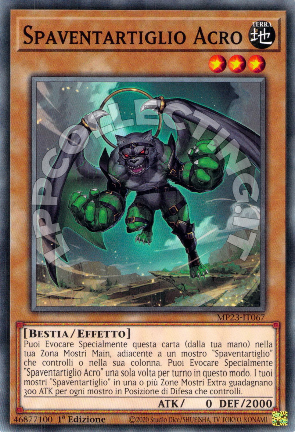Spaventartiglio Acro