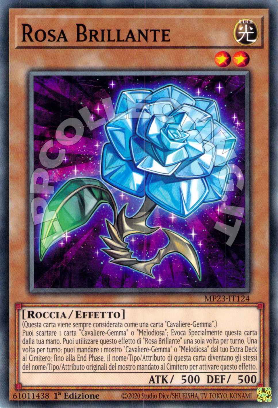Rosa Brillante