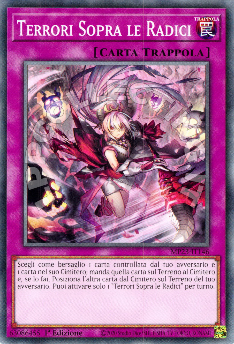 Terrori Sopra le Radici