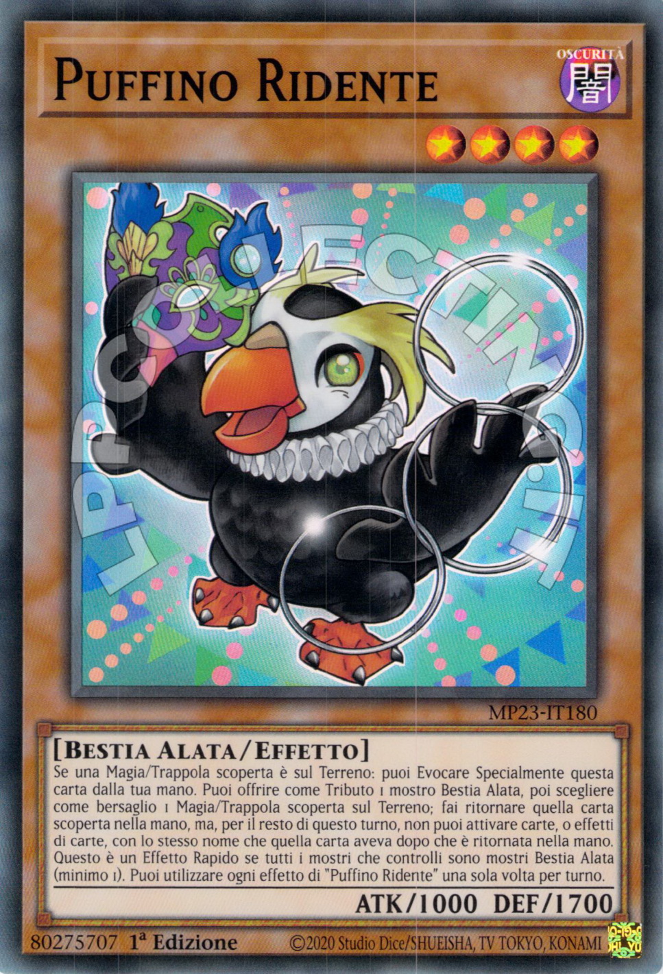 Puffino Ridente 