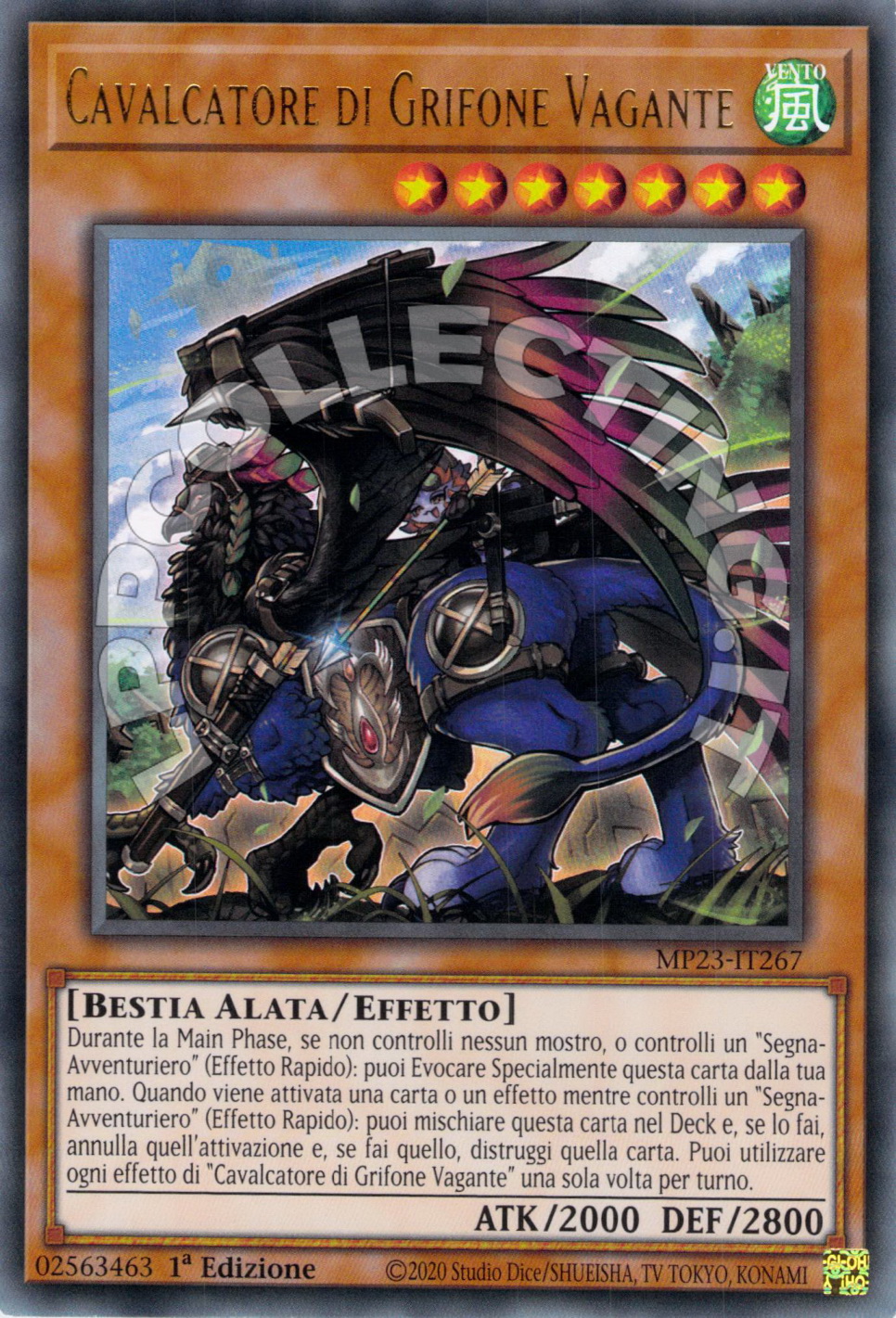 Cavalcatore di Grifone Vagante