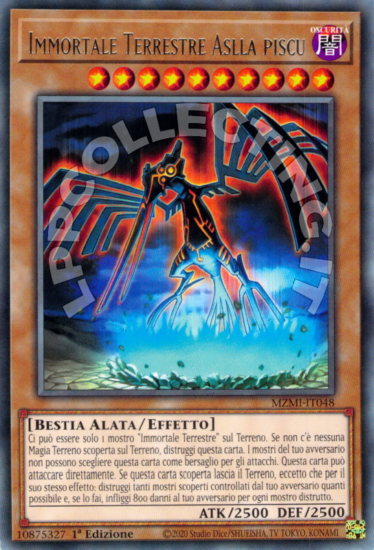 Immortale Terrestre Aslla piscu