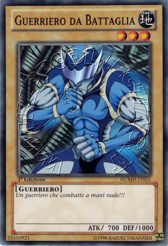 Guerriero da Battaglia