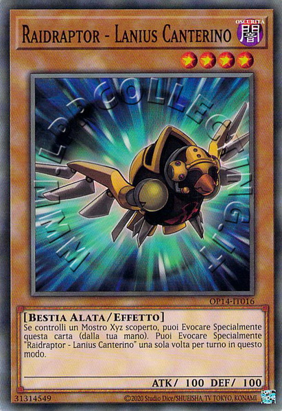 Raidraptor - Lanius Canterino