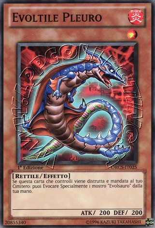 Evoltile Pleuro
