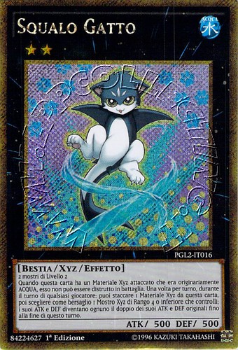 Squalo Gatto