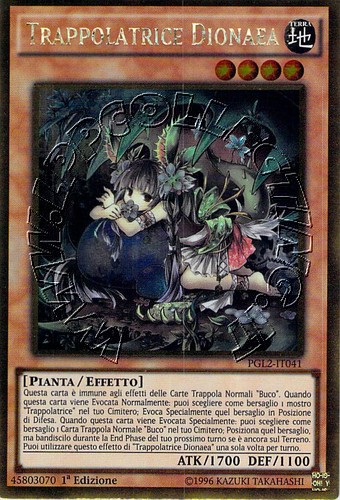 Trappolatrice Dionaea
