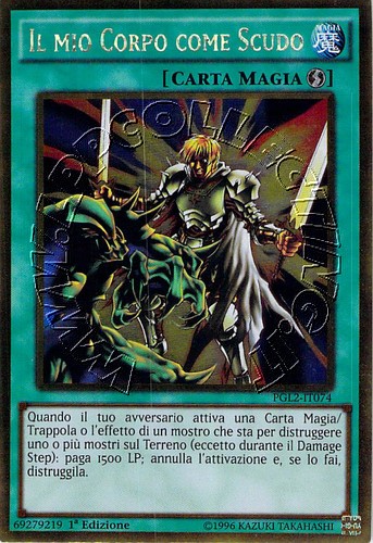 Il Mio Corpo come Scudo