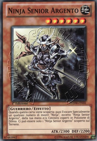 Ninja Senior Argento
