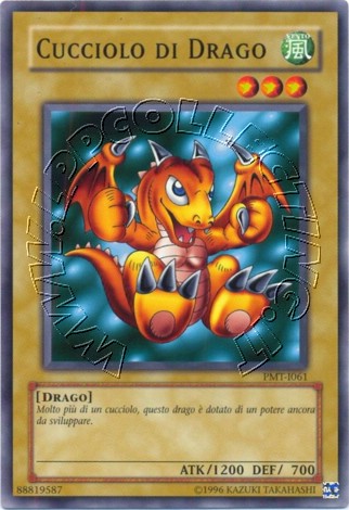 Cucciolo di Drago
